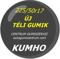 225 50r17 kumho téli