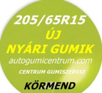 205 65R15 nyari-gumi