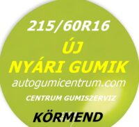 215 60R16 nyari-gumi