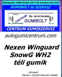 Nexen Winguard SnowG WH2 téli gumik-centrum-gumiszerviz-kft-gumibolt-es-szerviz-kormend-autogumicentrum