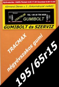 195 65R15 Tracmax négyévszakos gumi-Tracmax négyévszakos gumi Trac Saver-all season-